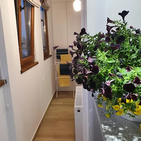 Apartment Quiet Panoramic - Calea Victoriei