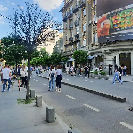 Quiet Panoramic - Calea Victoriei Apartment *