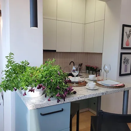 Quiet Panoramic - Calea Victoriei Apartment *