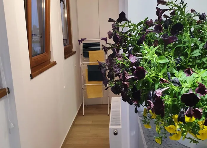 Apartment Quiet Panoramic - Calea Victoriei