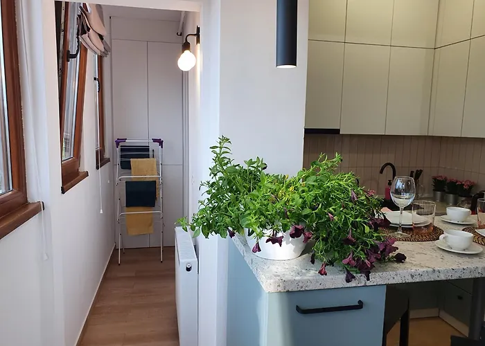 Quiet Panoramic - Calea Victoriei Apartment *