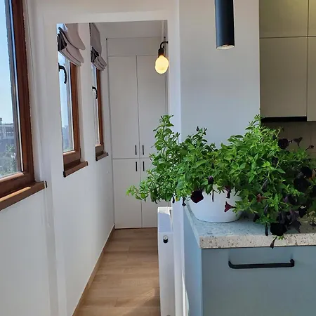 Quiet Panoramic - Calea Victoriei Apartment *