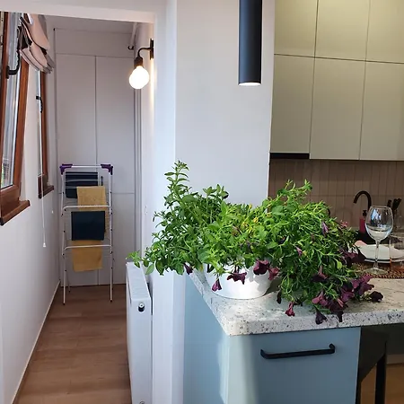 Quiet Panoramic - Calea Victoriei Apartman *